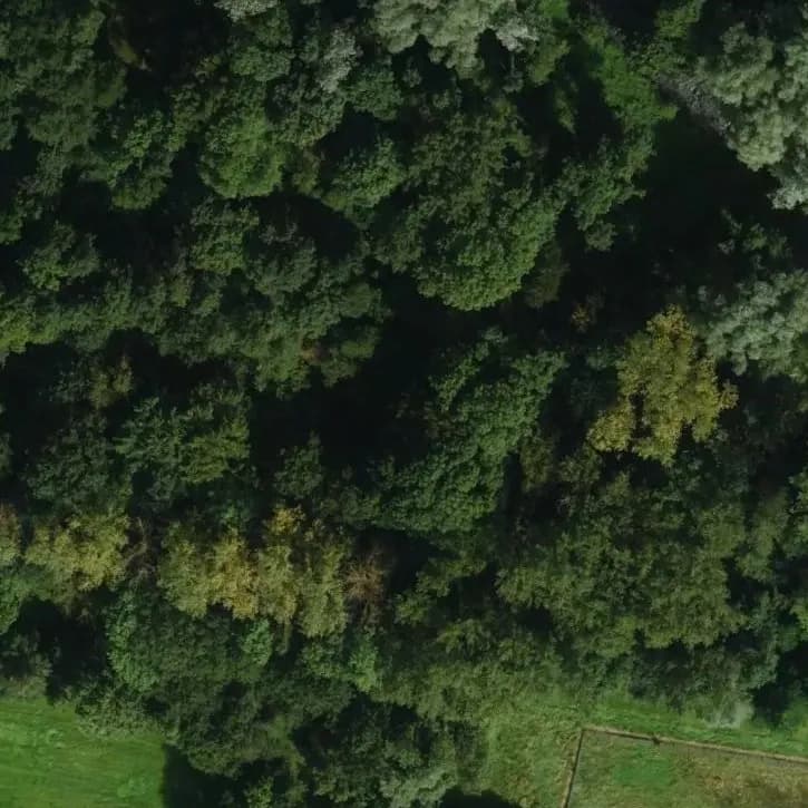 Verlaten Boerderij