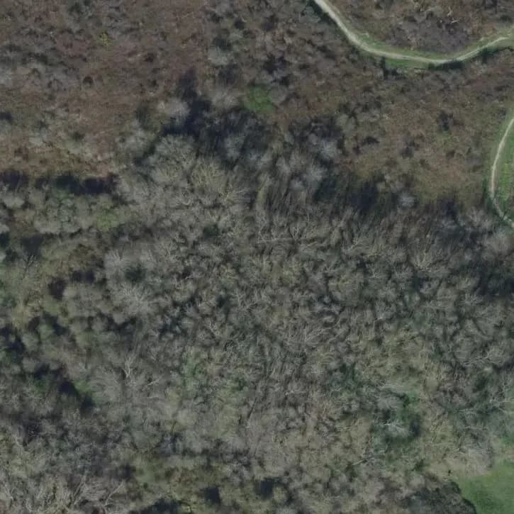 Bunker 