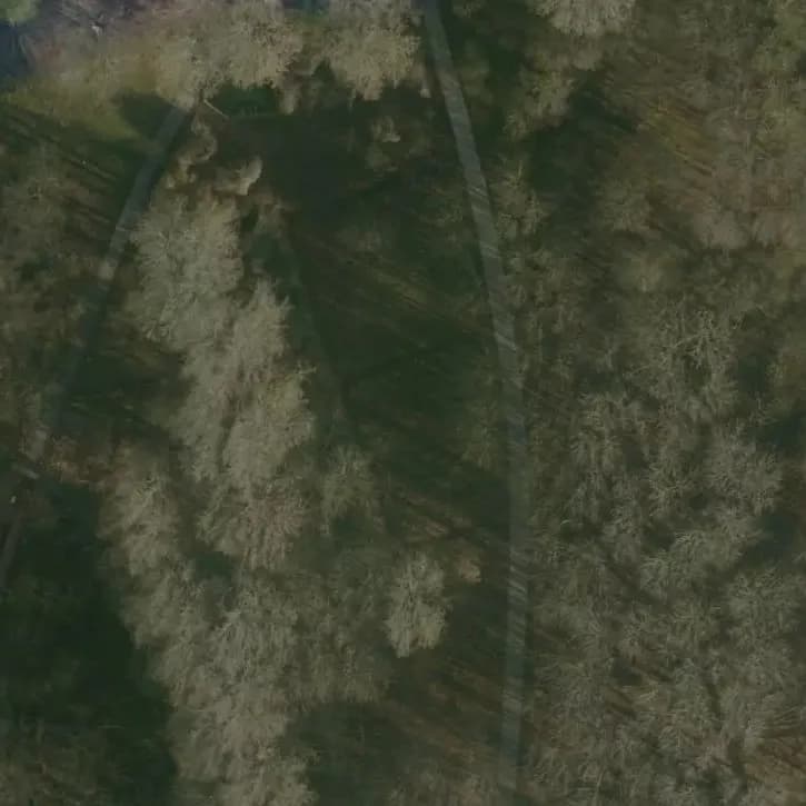 Heksenpad in Hoogvliet