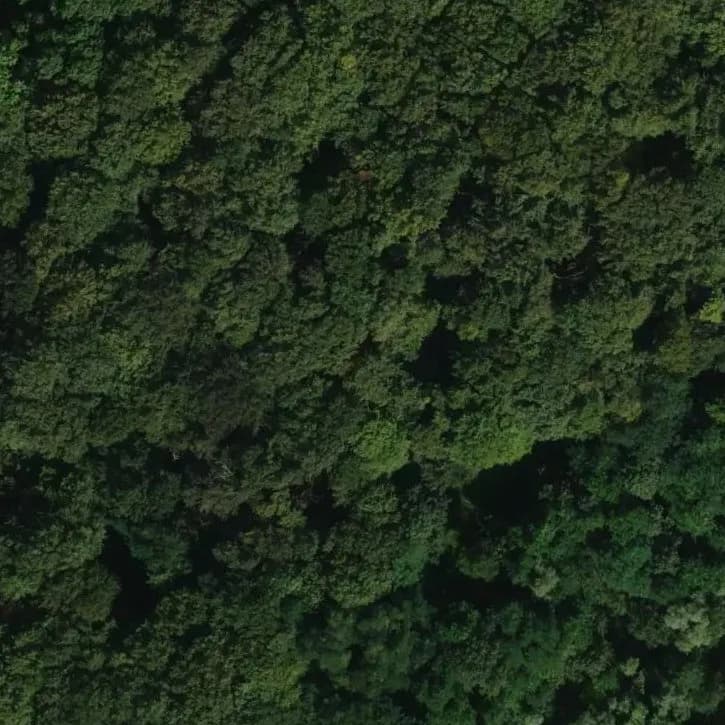 Verlaten Openluchttheater	