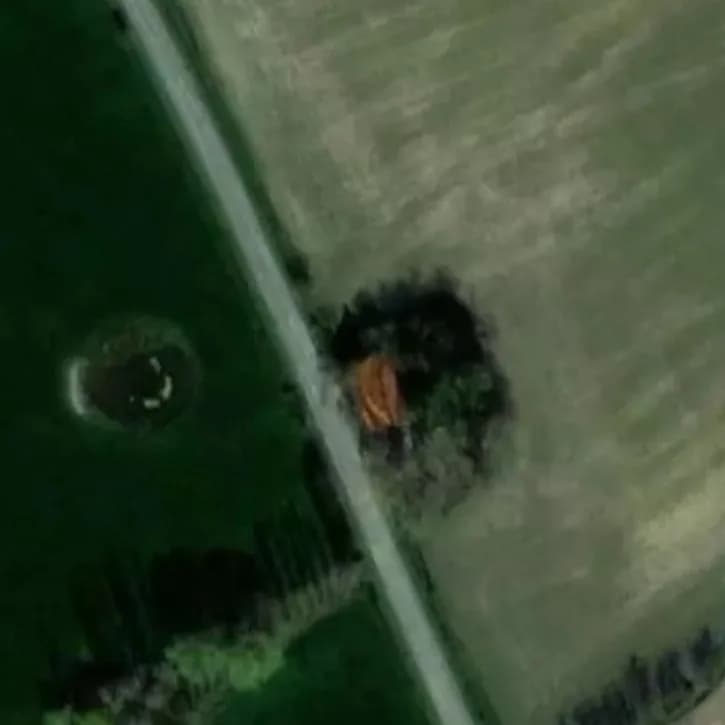 Verlaten  Boerderij